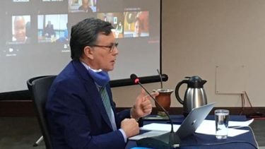 Funcionarios del agro analizaron el impacto del coronavirus en Latinoamérica