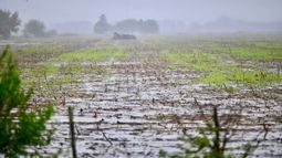 El impacto de las lluvias en la zona núcleo.