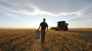 Beneficiarán a quienes contraten a trabajadores rurales desempleados