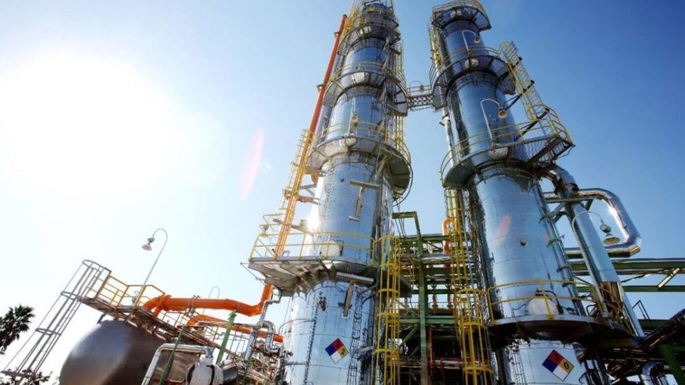 Regulación de la actividad.