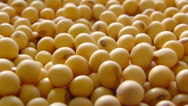 "La liquidación de la soja rondará los 28 mil millones de dólares"