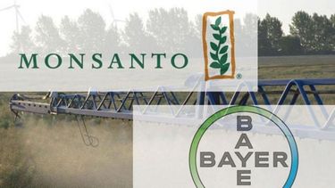 Fracasa un primer intento para fusionar a Monsanto con Bayer