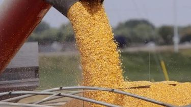 Serrano al frente del Instituto Nacional de Semillas