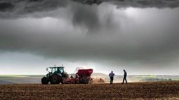 Avanzan más lento de lo esperado la cosecha de maíz y soja en Estados Unidos