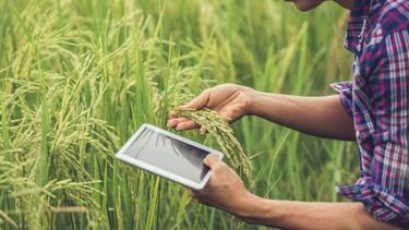Las 3 condiciones que requiere el campo de la tecnología