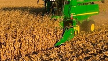 Récord: la producción agrícola superaría las 140 millones de toneladas