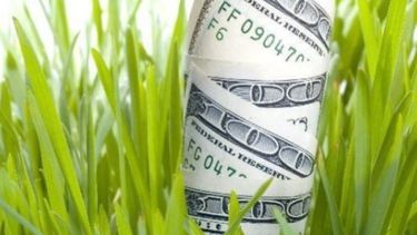 Productores de soja advierten que pueden faltar divisas para el segundo trimestre