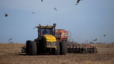 Proyectan un cambio en las perspectivas de la siembra de trigo