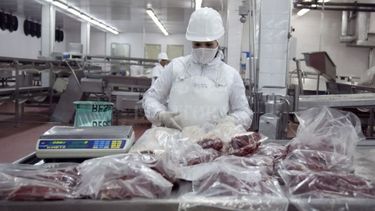 La faena bovina subió un 14% en los meses de la pandemia