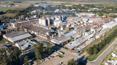 Vicentin obtuvo una nueva prórroga para acordar con sus acreedores