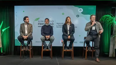 Marull, Beraldi, Molas y Rotondaro.