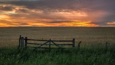 El campo aportó casi US$ 200.000 millones durante los últimos 21 años en concepto de retenciones.
