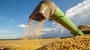 El aporte del campo a la economía argentina.