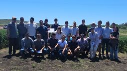 Una solución para los productores argentinos.