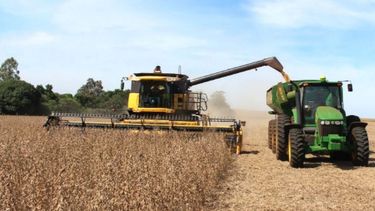 La cosecha de soja terminó con una merma del 10 por ciento