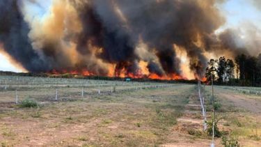 Corrientes está bajo desastre agropecuario por los incendios rurales