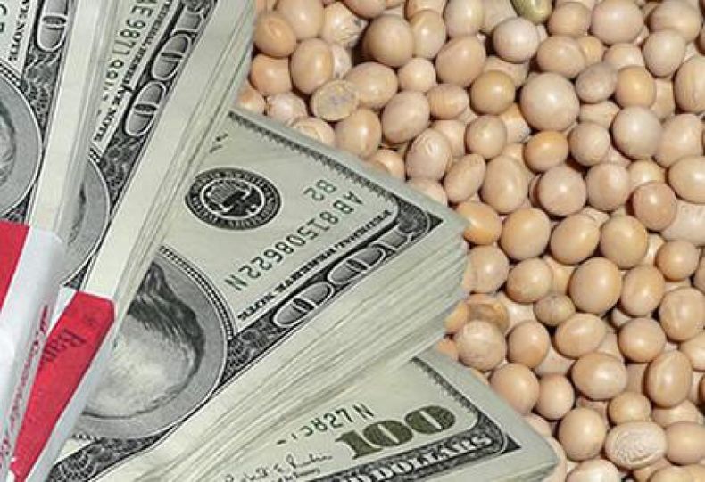 Exportadores agrícolas deberán financiarse en el exterior
