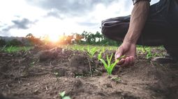 Presentaron el programa de Buenas Prácticas Agrícolas en "La Provincia"