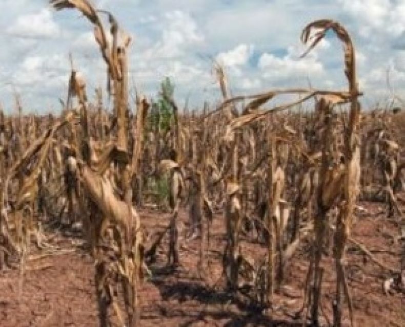 No habrá supermercado del mundo sin contener el riesgo climático