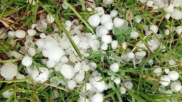 Declararon la emergencia agropecuaria en Río Negro