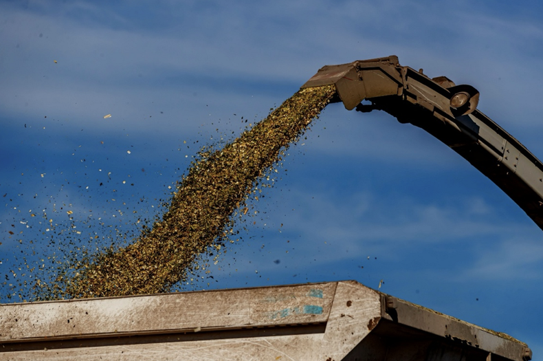 Los desafíos de los productores.