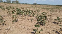 Las resoluciones orientadas a mitigar los efectos negativos sobre los campos.
