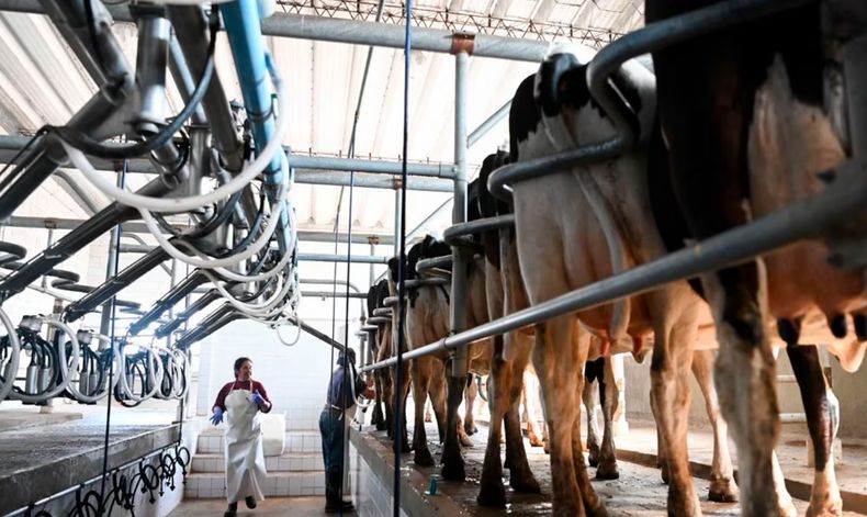 El rendimiento de la agroindustria.
