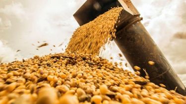 Subrayan que el Estado se queda con el 57% de las divisas generadas por la soja