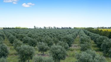 Entregaron fondos del primer proyecto de Fondagro