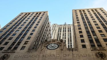 El trigo y el maíz cerraron la semana con saldo negativo en Chicago