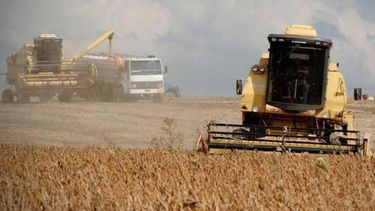 Sin crédito y con retenciones, empresas prevén una explosión exportadora del agro