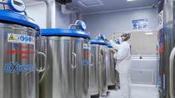 La experiencia de la compañía en el tratamiento del problema.