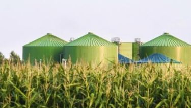 Claves de la “bioeconomía” que impactan directamente en los agronegocios