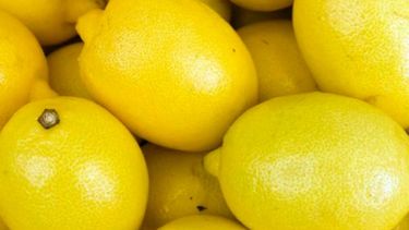 Los limones regresarán al mercado estadounidense tras quince años