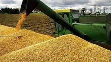 Proyectan un repunte de la cosecha granaria en 2017