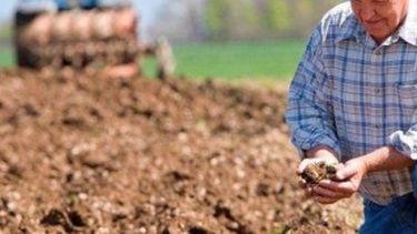 Créditos a productores boanerenses subieron 60% respecto de 2014