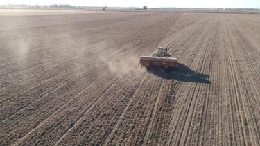 Estiman una menor superficie sembrada con trigo