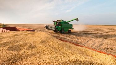 Avanzó la siembra de soja con 1,6 millones de hectáreas en una semana