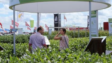 La nueva ley de semillas es una buena noticia para cierta empresa