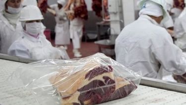 La faena de bovinos descendió un 2% en noviembre