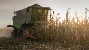 Agricultores estadounidenses piden a Trump acordar con China