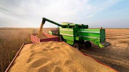 Avanza la cosecha de soja y aumentan la estimación de producción de sorgo