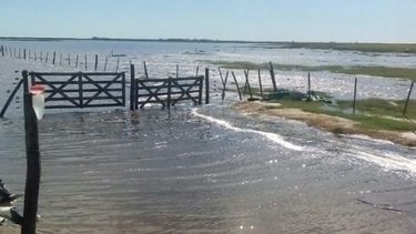 Las inundaciones cubren casi un tercio de la producción agropecuaria