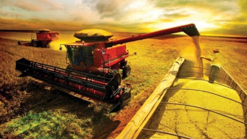 La agroexportación sumó US$ 620 millones tras la baja de las retenciones
