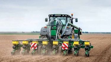 Prevén una caída de siembra de maíz mayor a 2% para la próxima campaña