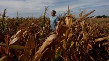 Productores agropecuarios insisten con el pedido de eliminar las retenciones