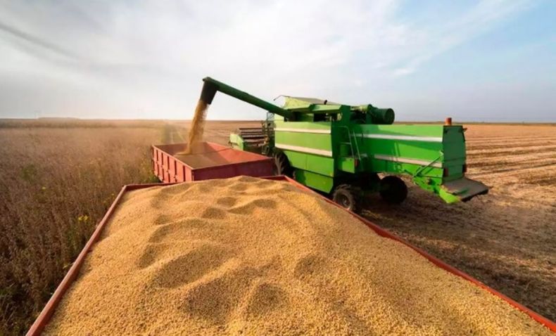 Subrayan que el campo es el principal motor del país