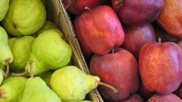 Anunciaron créditos para los productores de peras y manzanas