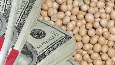 Reflejan que Argentina pasó de ser un país triguero a uno sojero