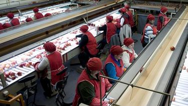 Agricultura busca impulsar el sector de productos frutícolas